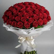 Букет 101 Красная роза Блэк Мэджик #REPLACE_PRED# Омсукчан