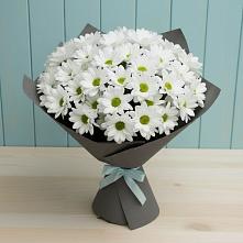 Букет цветов из:  Хризантемы #REPLACE_PRED# Омсукчан