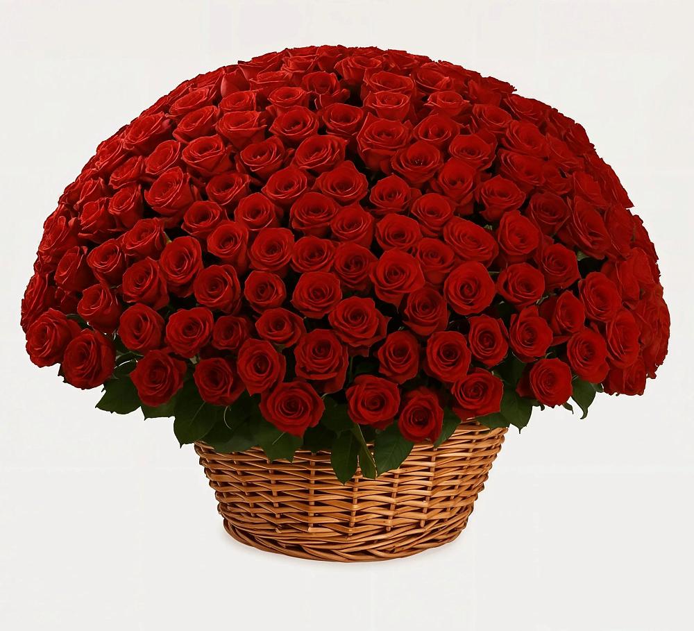 Премиум букет из: Розы в Омсукчан