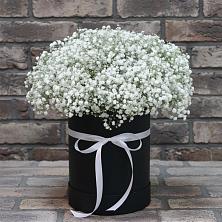 Цветочная композиция из Гипсофила в шляпной коробке в Омсукчан